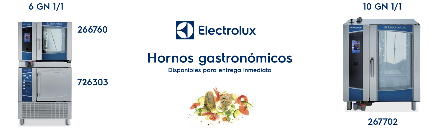 Hornos gastronómicos