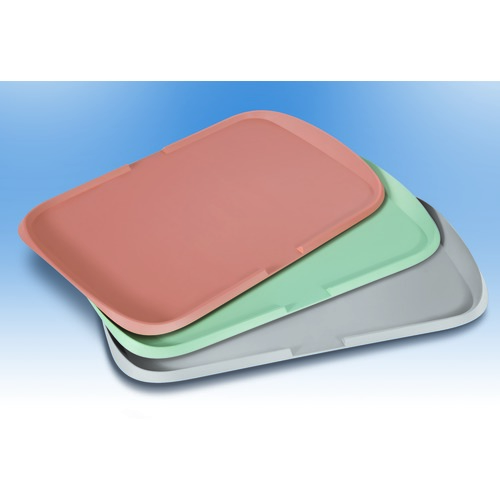 Bandeja GASTRONORME plana 530 x 325 mm - Vainilla