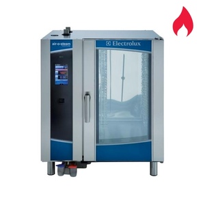 Hornos gastronómicos combi a gas